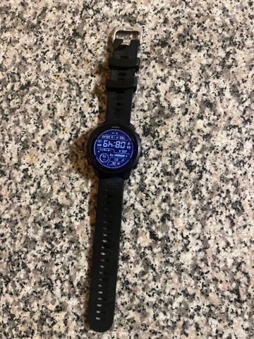Garmin foraner 245 music