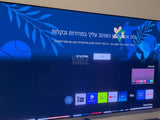 Samsung QE65S95B