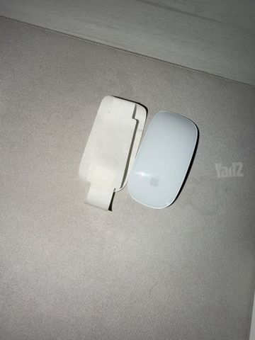 Magic mouse type c