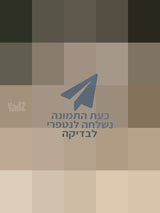 שטיח