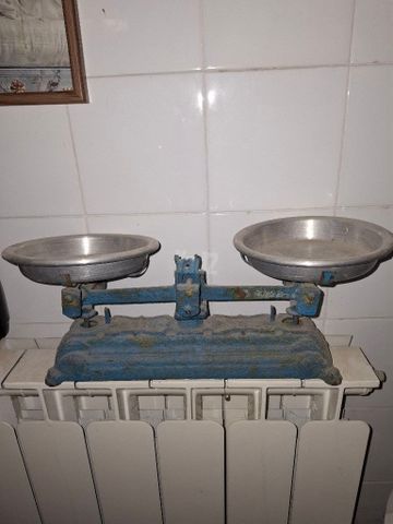 מוזנים
