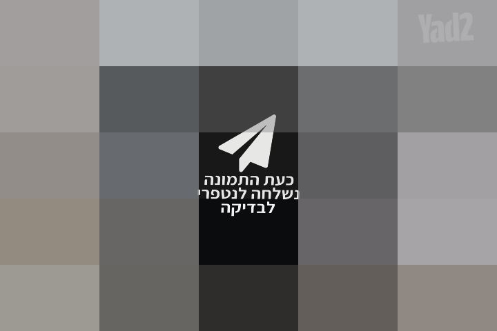 עגלת בוגבו B6
