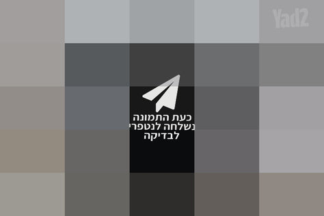 עגלת בוגבו B6