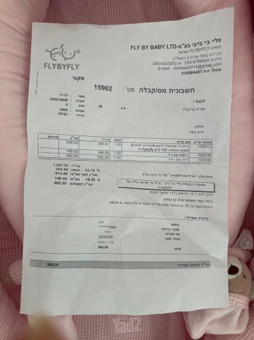 בייבינסט Flybyfly