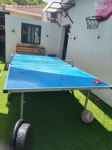 שולחן פינג פונג
