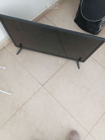 טלבזיה