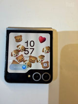 סמסונג פליפ 6