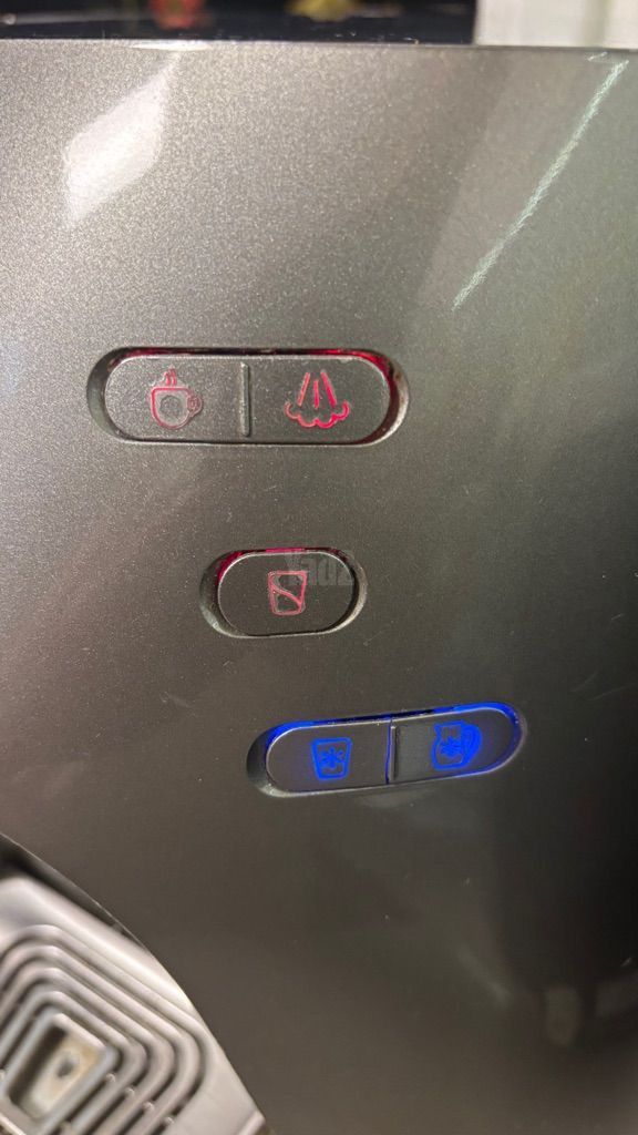 תמי 4 פרימו