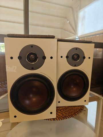 Dali Oberon 3