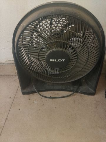 מאורר