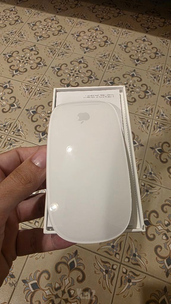 Magic mouse apple