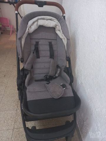 טיולון