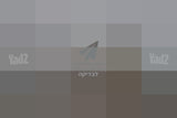 קוקו שאנל