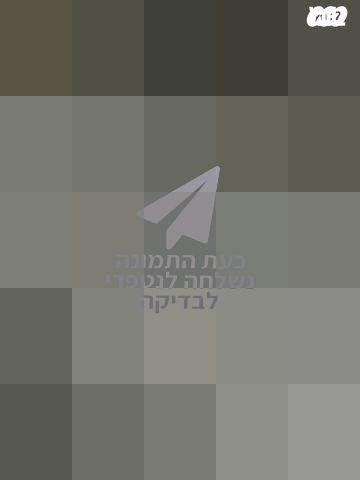 גיטרה