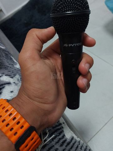 Peavey PVi 100