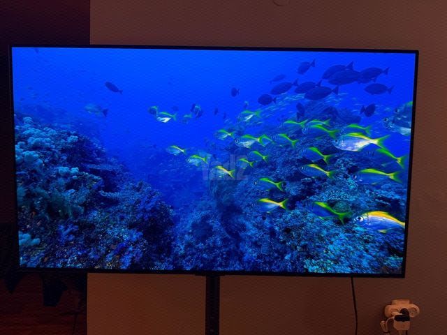LG OLED 48