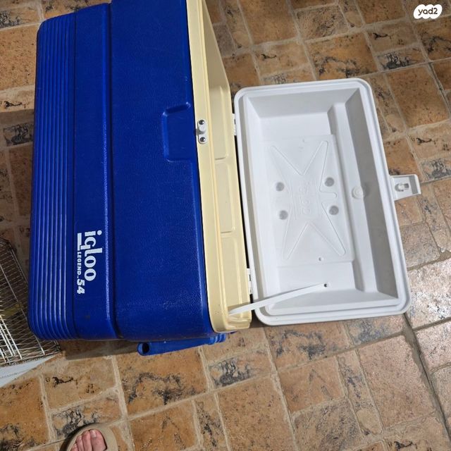 צידנית