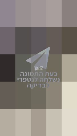 וטרינה מעוצבת