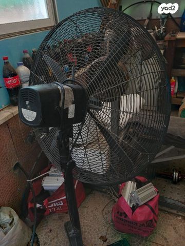 מאורר