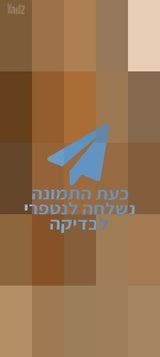 8 כסאות עץ אלון