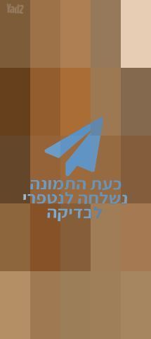 8 כסאות עץ אלון