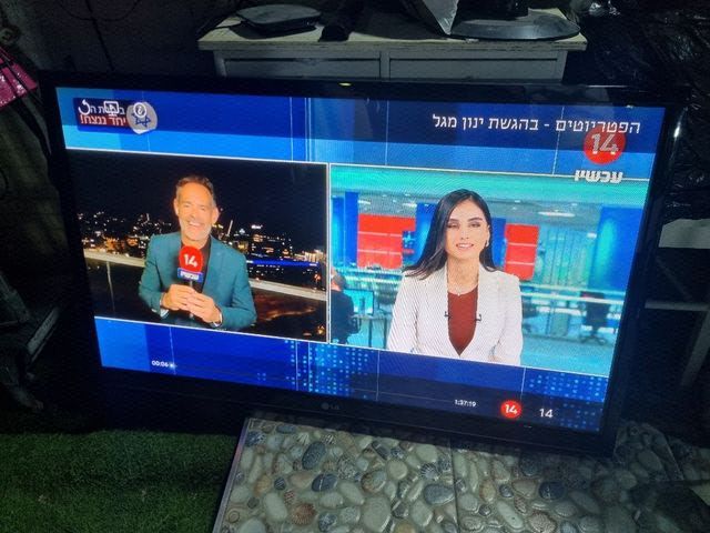 טלוזיה