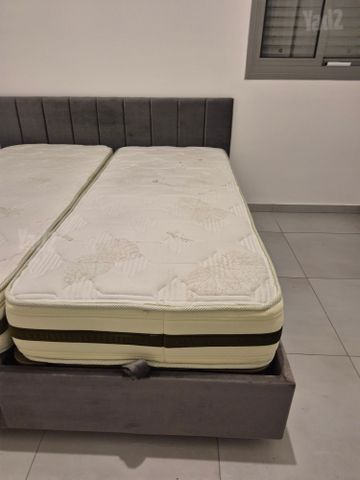 מיטה