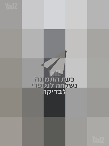 Gibson Les Paul  + מגבר Fender