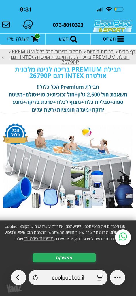 בריכת intex