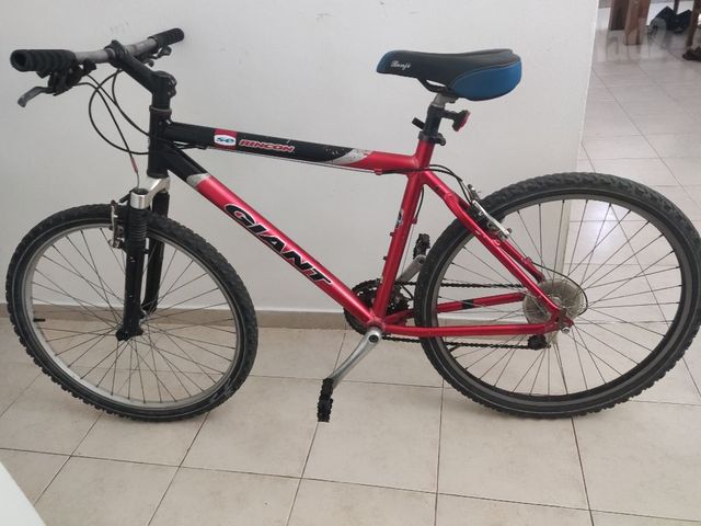 Giant26