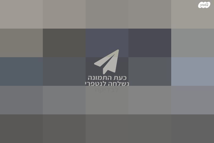 אורגן