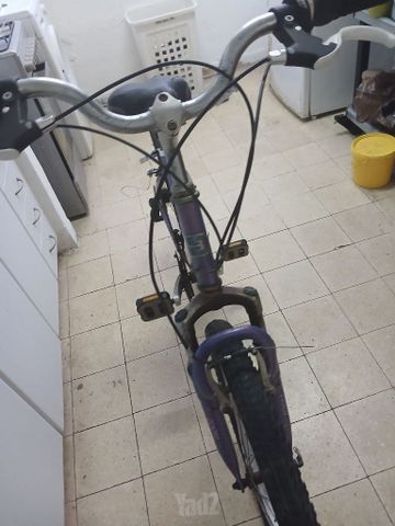 אופניים נשים