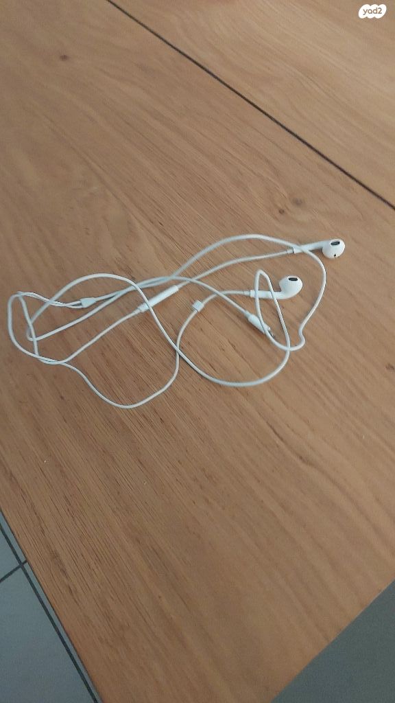 אוזנייה