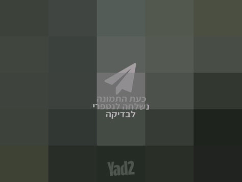 מקפיא 3 מגירות