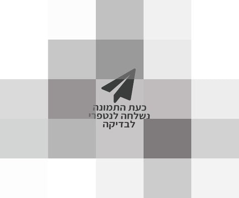 גימבל Zhiyun-Tech WeeBill S