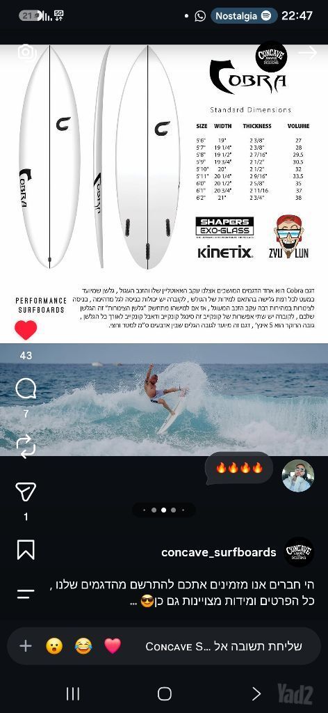 גלשן  concave  6.1
