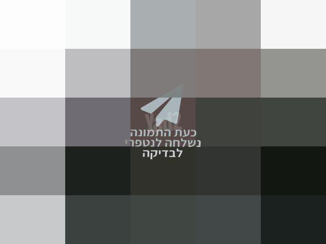 ממונעים