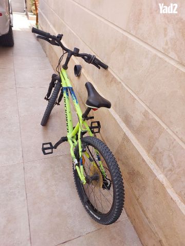 אפניים