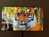 LG OLED 48