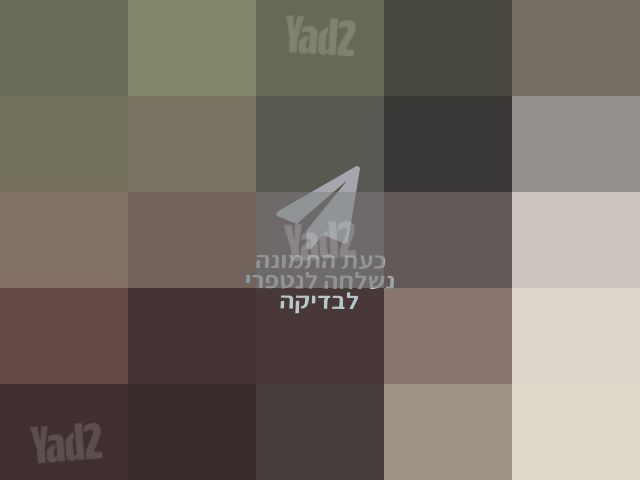 קולנועית
