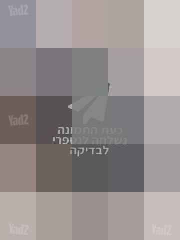 אקדח נשק