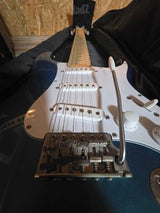 גיטרה PRS silvervsky