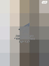 מזגן מרכזי