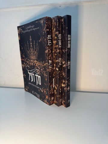 סדרת ספרים