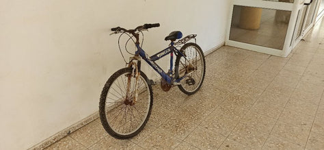 אופניים