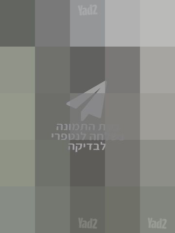 מכונית ממונעת
