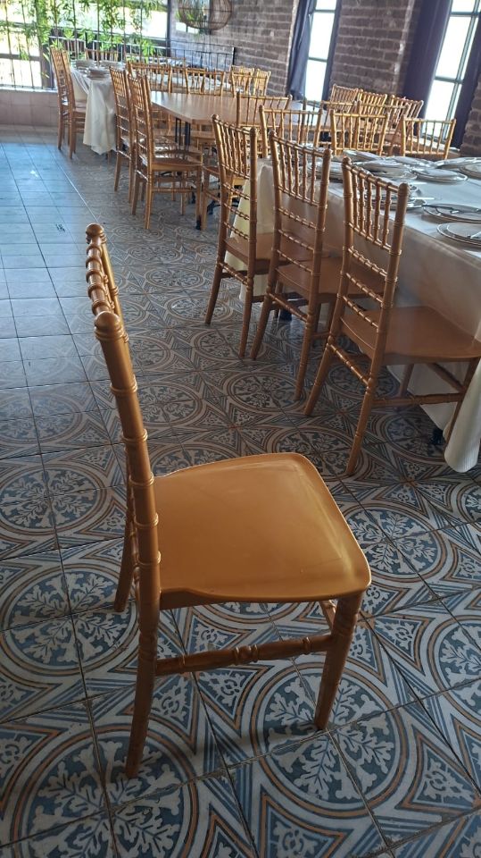 100 כסאות צ'יברי זהב