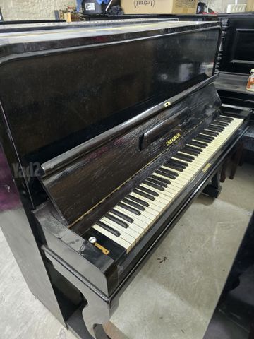 פסנתר גרמני Lidl Velik