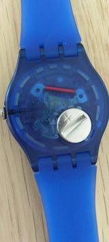 Swatch Clown Fish