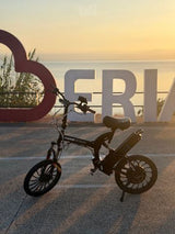 מומו דיזיין